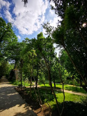 Sakin bir yolda yürürken canlı yeşilliğin ve açık mavi gökyüzünün tadını çıkarabilir. Parkta rahatlama ve keşif için mükemmel bir ortam yaratabilir..