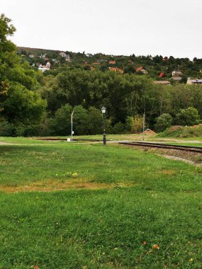 Manzara, ağaçlar ve evlerle çevrili eğimli bir demiryolu hattının yanında huzurlu kırsal bir ortamda bulutlu bir gökyüzünün altında sakin ve çimenli bir alan yakalıyor..