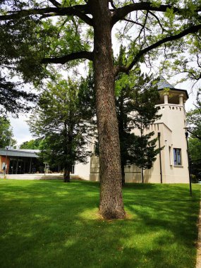 Tarihi bina canlı yeşil ağaçlarla çevrili. Parkta güneşli bir günde dinlenmek için mükemmel sakin bir atmosfer sergiliyor..