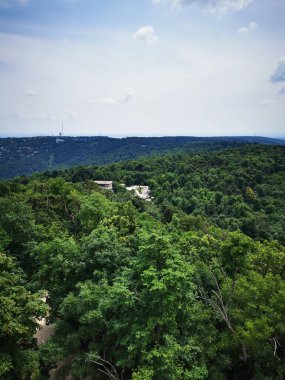 Çarpıcı bir manzara, ağaçlarla benekli yeşil tepeleri yakalar. Uzak dağlar, parlak mavi gökyüzünün altında görünür. Doğanın sükunetini gösterir..