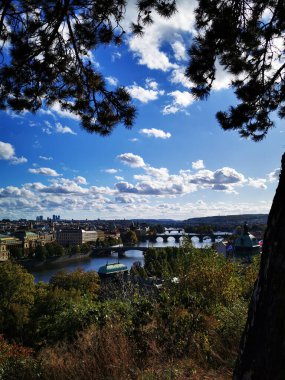 Palmiye ağaçları ve çizgili tentelerin bulunduğu canlı bir kafe, ziyaretçileri hareketli bir alışveriş meydanında ağırlayarak bulutlu gökyüzüne rağmen rahat bir atmosfer yaratıyor..