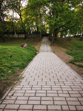 Kaldırımlı bir yürüyüş yolu, berrak gökyüzünün altındaki gür ağaçların ve çimenli alanların arasında yumuşak bir yamaç boyunca uzanan hareketli bir parkın içinden geçiyor..