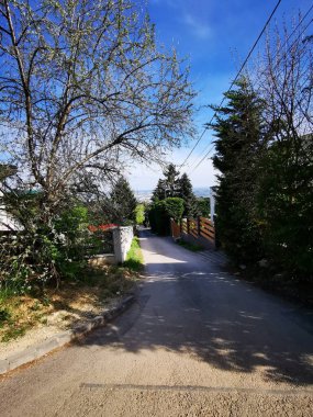 Görkemli tarihi yapı akşam gökyüzüne karşı güzelce aydınlatılırken, önünde belirgin bir binicilik heykeli duruyor ve zengin tarihin özünü yansıtıyor.. 