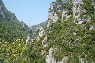 Bereketli yeşillik, sakin bir vadiyi çevreleyen yüksek uçurumları kaplar, açık mavi gökyüzü ile aydınlık bir yaz gününde doğanın güzelliğini gözler önüne serer.