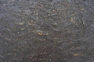 Farklı yönlere yöneltilmiş çiplerden oluşan aşınmış ahşap bir doku.