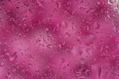 Pembe zemin üzerinde su damlaları olan soyut arkaplan