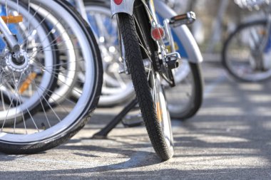 Şehirde bisiklet parkı, bisiklet kiralama.