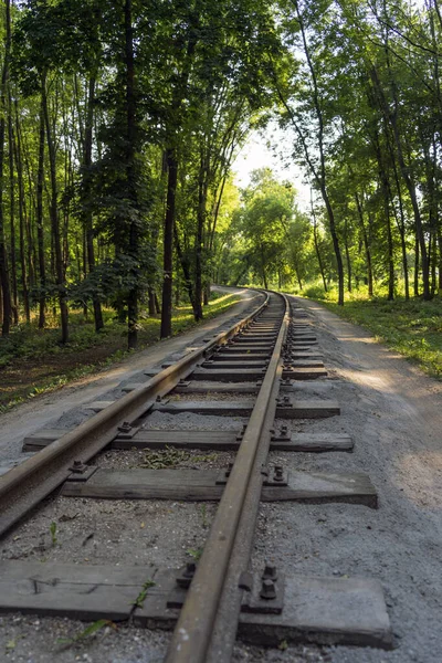 Ferrocarril Entrando Distancia — Foto de Stock