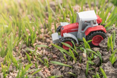 Minyatür bir buğday tarlasında traktör. Tarım makineleri ve tarım. Hasat işleme