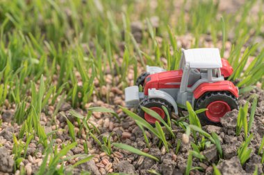 Minyatür bir buğday tarlasında traktör. Tarım makineleri ve tarım. Hasat işleme