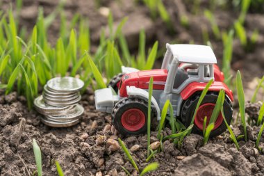 Buğday tarlasında tarım makineleri. Yeşil alanda traktör, para ve tahıl minyatürü. Tarım sektöründe iş ve finans