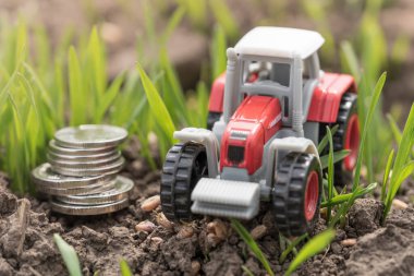 Buğday tarlasında tarım makineleri. Yeşil alanda traktör, para ve tahıl minyatürü. Tarım sektöründe iş ve finans