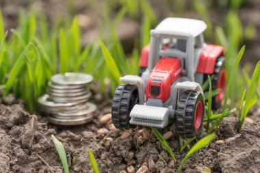 Buğday tarlasında tarım makineleri. Yeşil alanda traktör, para ve tahıl minyatürü. Tarım sektöründe iş ve finans