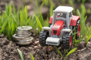 Buğday tarlasında tarım makineleri. Yeşil alanda traktör, para ve tahıl minyatürü. Tarım sektöründe iş ve finans