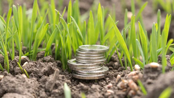 Manet 'ler buğdayla dolu bir tarlaya yığıldı. Tarım ve iş. Tarımın finansmanı. Tarım ve endüstri.