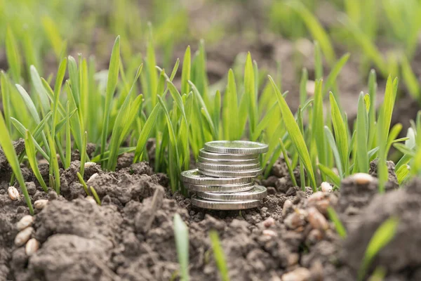 Manet 'ler buğdayla dolu bir tarlaya yığıldı. Tarım ve iş. Tarımın finansmanı. Tarım ve endüstri.