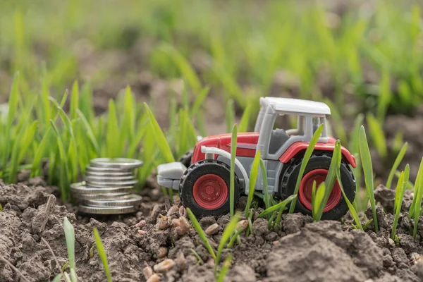Buğday tarlasında tarım makineleri. Yeşil alanda traktör, para ve tahıl minyatürü. Tarım sektöründe iş ve finans