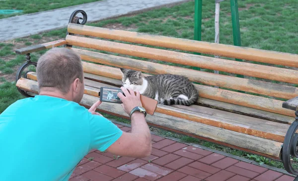 中年の男がベンチで猫の写真を撮って — ストック写真