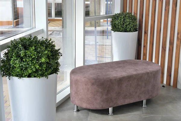 pink hallway upholstered bench in a modern building. floor to ceiling windows. green grass in flower pots. minimal style interior.