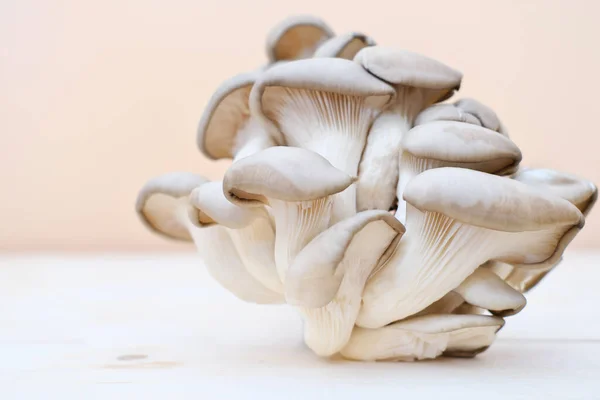 Bunch of brown fresh raw oyster mushrooms on wooden table. Stock Image