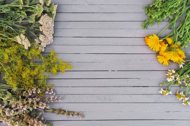Şifalı otlar gri kırsal ahşap masada toplanır. Alternatif tıp metin için boşluk kopyala. Bitkisel tedavi. Üst manzara, düz yatış. çay malzemeleri 