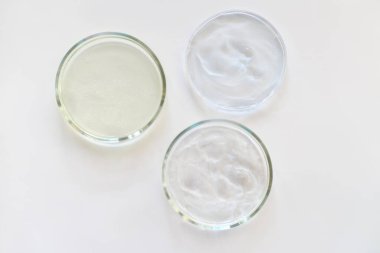  Cam petri kapları bir laboratuvar masasında agar substrat ile birlikte. Steril laboratuvar yemekleri test için hazır. Analiz ve kimyasal deney. Hücre kültürü ekipmanı. en üstteki görünüm