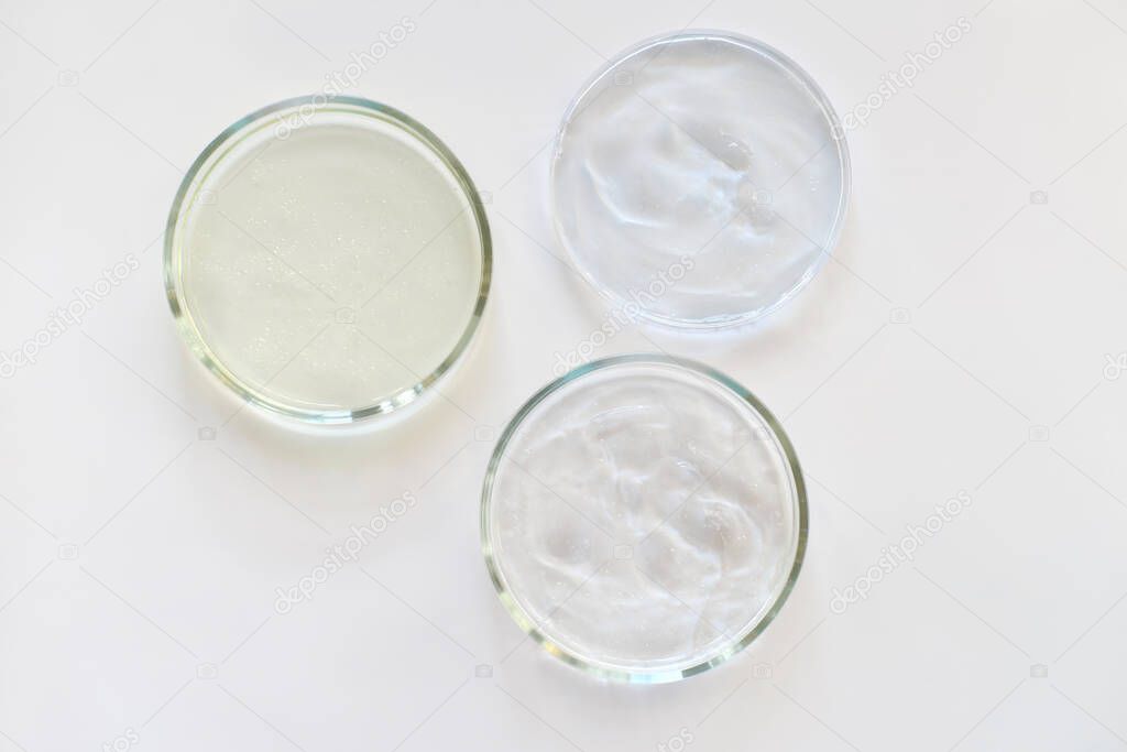  glass Petri dishes witn agar substrat on a laboratory table. sterile lab dishes ready for tests. analysis and chemical experiment. cell culture growing equipment. top view