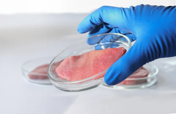 Petri Kabında Laboratuvar Önlüğüyle Ele Tutuşmak Cam Hücre Kültüründe Tüp — Stok fotoğraf