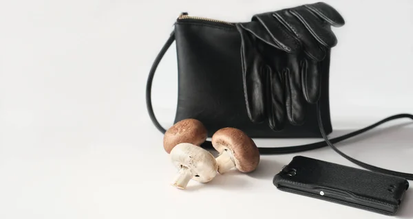 Tasche Handschuhe Und Handytasche Aus Myzelleder Veganes Alternativleder Pilzfasertextil Als — Stockfoto