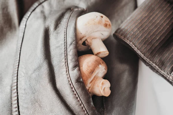 Pilze Einer Tasche Der Myzel Lederjacke Bioalternative Fasern Und Materialien — Stockfoto