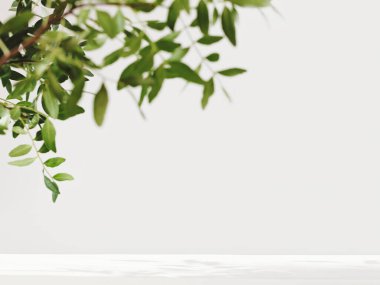 Yeşil yapraklar ve dallar birleşir. Ürün yerleştirme için kopyalama alanı olan beyaz masa. Doğal ve ekolojik bir kavram. okaliptüs yaprakları