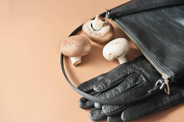 Handtasche Und Handschuhe Aus Myzelleder Biologisch Nachhaltige Alternative Leder Aus — Stockfoto