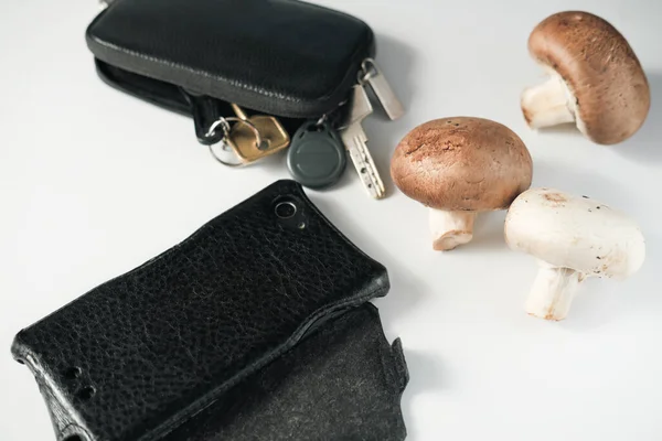 Handytasche Und Schlüsselanhänger Aus Veganem Leder Alternative Textile Grausamkeit Frei — Stockfoto