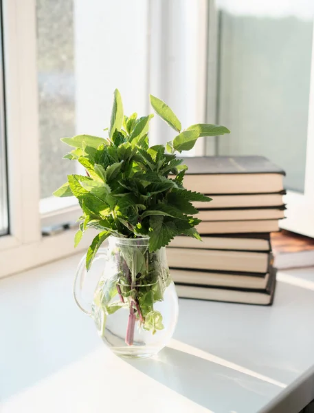 유리 꽃병에 들어 있는 푸른 약초들 과 창턱에 있는 책들을 모아 놓으라. 투명 한 쥬그, 아늑 한 여름 아침 컨셉트에 있는 신선 한 정원그린, 블로거 콘텐츠. — 스톡 사진