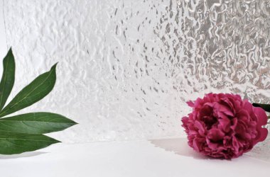 Kozmetik veya doğal bakım reklamları için ürün yerleştirme vitrini. Şakayık çiçeği, yeşil yapraklar ve desenli banyo cam kapısı.