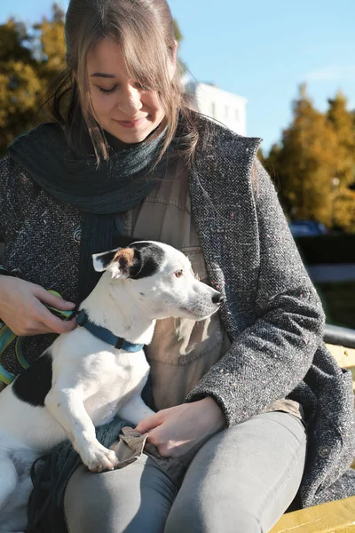Молодая Женщина Пальто Обнимающая Собаку Сидя Скамейке Осеннем Парке Джек — стоковое фото