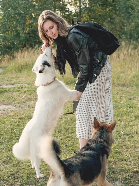 Jovem caminhando com seus cães em um parque. branco yakutian laika tentando lamber mulheres rosto enquanto pastor olhando para eles. ao ar livre brincando com animais de estimação. conceito de amizade e afeto. — Fotografia de Stock
