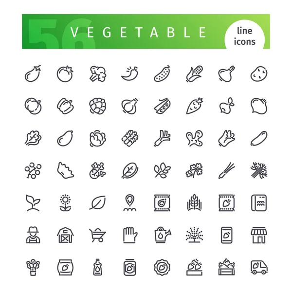 Conjunto de iconos de línea vegetal — Vector de stock