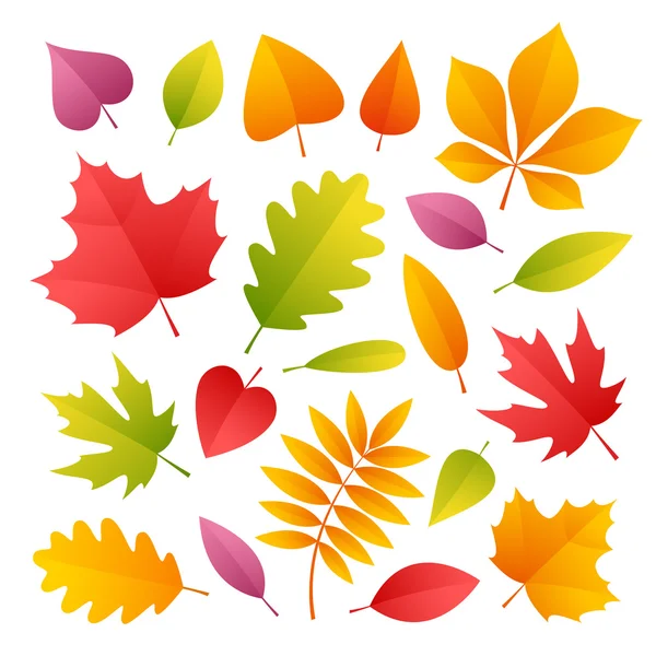 Zestaw kolorowych jesiennych liści — Wektor stockowy