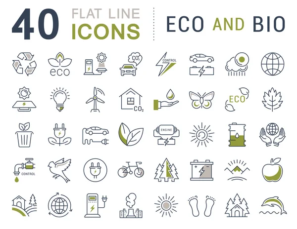 Set Vector Flat Line Icons Eco and Bio — Stock Vector