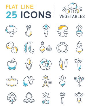 Vektör düz çizgi simgeler sebze ayarla