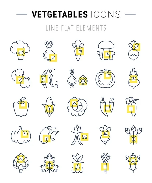 Set Vector Flat Line Icônes Légumes — Image vectorielle