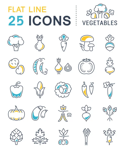 Set Vector Línea Plana Iconos Verduras — Archivo Imágenes Vectoriales