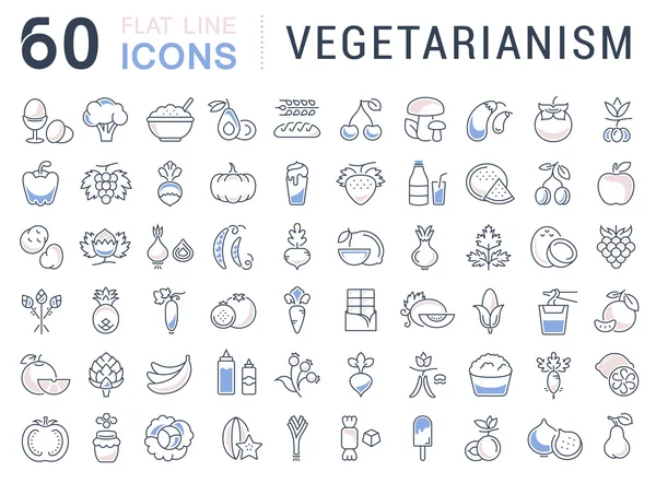 Nastavit vektor rovinu ikony vegetariánství — Stockový vektor