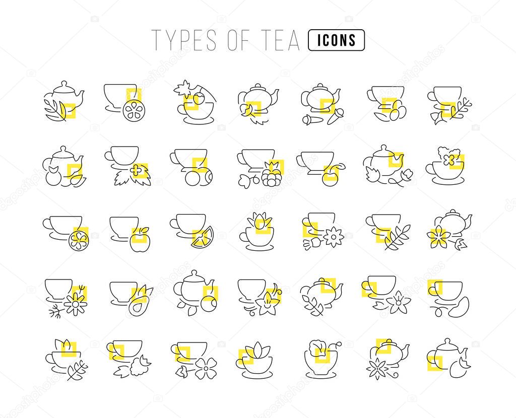 Types of Tea. Collection of perfectly thin icons for web design, app, and the most modern projects. The kit of signs for category Food and Drink.