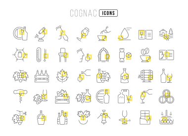 Konyak mı? Web tasarımı, uygulama ve en modern projeler için son derece ince simgelerin toplanması. Kategori yiyecek ve içecek tabelaları..