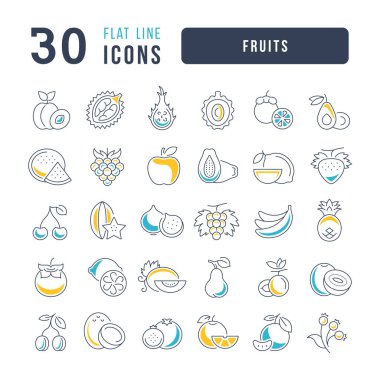 Fruits. Collection of perfectly thin icons for web design, app, and the most modern projects. The kit of signs for category Food and Drinks.