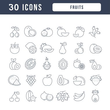 Fruits. Collection of perfectly thin icons for web design, app, and the most modern projects. The kit of signs for category Food and Drinks.