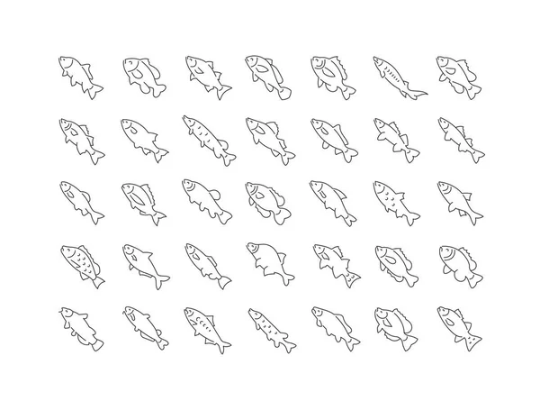 Ryby Słodkowodne Kolekcja Doskonale Cienkich Ikon Projektowania Stron Internetowych Aplikacji — Wektor stockowy