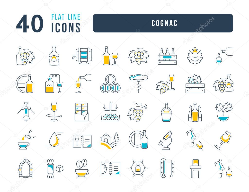 Cognac. Collection of perfectly thin icons for web design, app, and the most modern projects. The kit of signs for category Food and Drink.